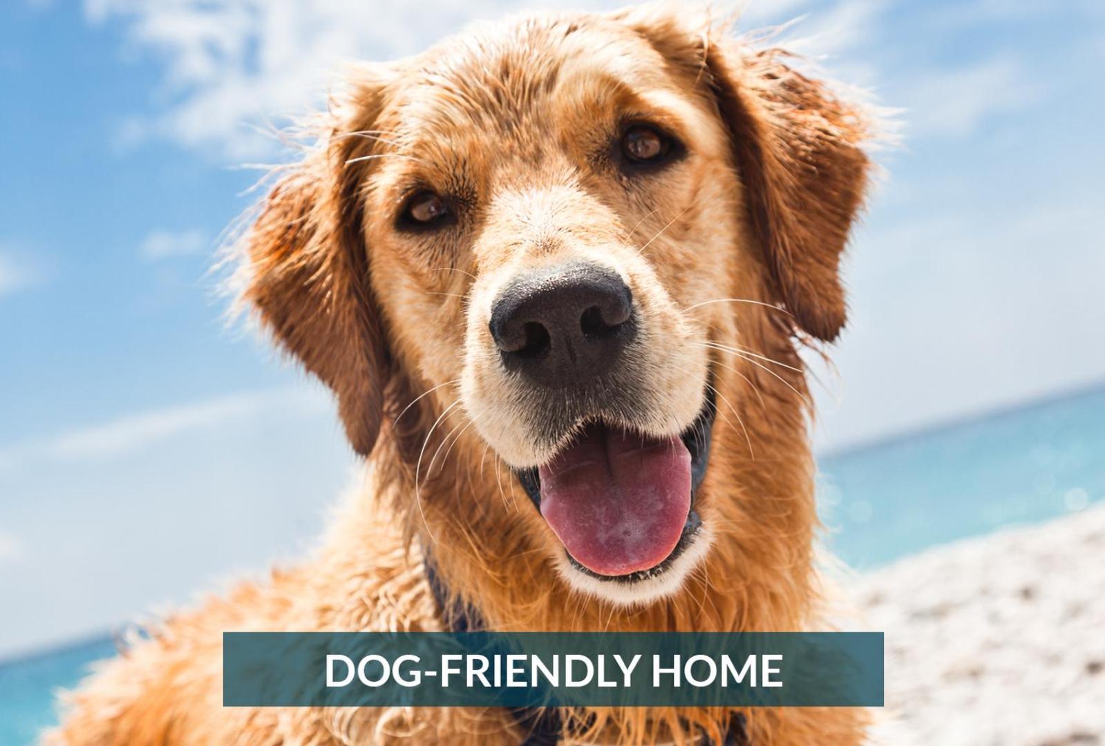 5508 Southern Comfort Dog Friendly Shared Pool Kill Devil Hills Buitenkant foto